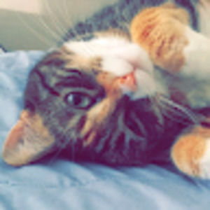 Meet your Posher, Ian